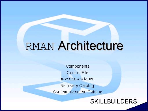 RMAN Architecture